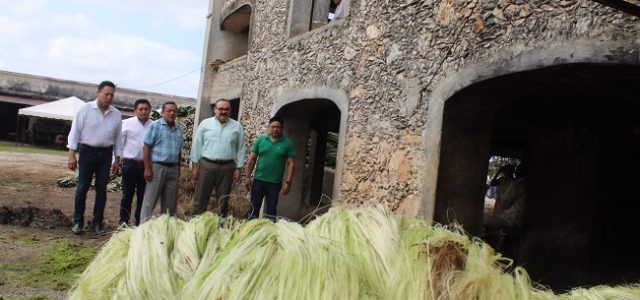 Ramírez Marín propone rescate integral de la industria henequenera