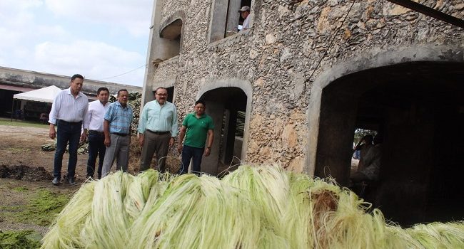 Ramírez Marín propone rescate integral de la industria henequenera