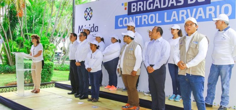 Inicia la Sexta Campaña de Control Larvario