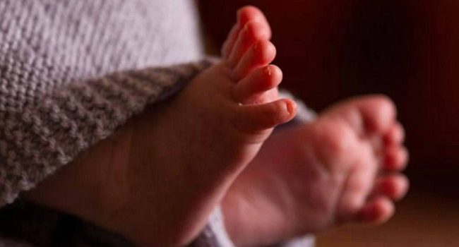 Escondió los cuerpos de cinco bebés en un congelador