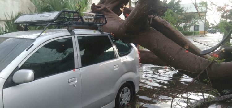 Atienden afectaciones por lluvia y vientos fuertes en Mérida