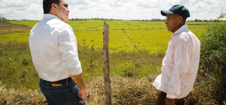 Agricultura, ganadería y apicultura, fortalezas del estado: Jesús Vidal