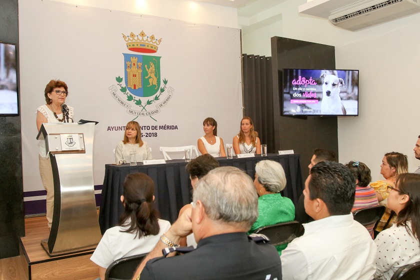 Photo of El Ayuntamiento presenta el sitio web adopta.com.mx