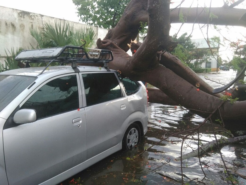 Photo of Atienden afectaciones por lluvia y vientos fuertes en Mérida
