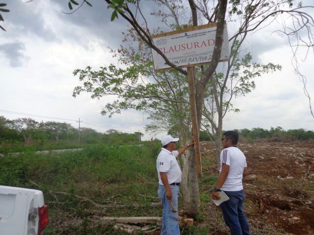 Photo of Clausuran predio por cambio de uso de suelo, sin autorización en Temax