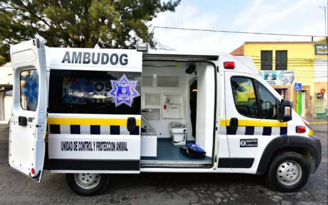 Photo of México tendrá su primera ambulancia para atender a perros atropellados o maltratados