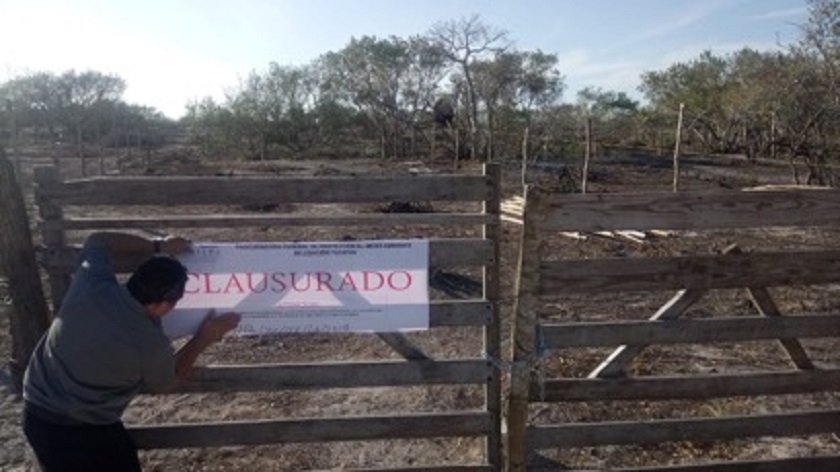 Photo of PROFEPA clausura predio en reserva de Celestún