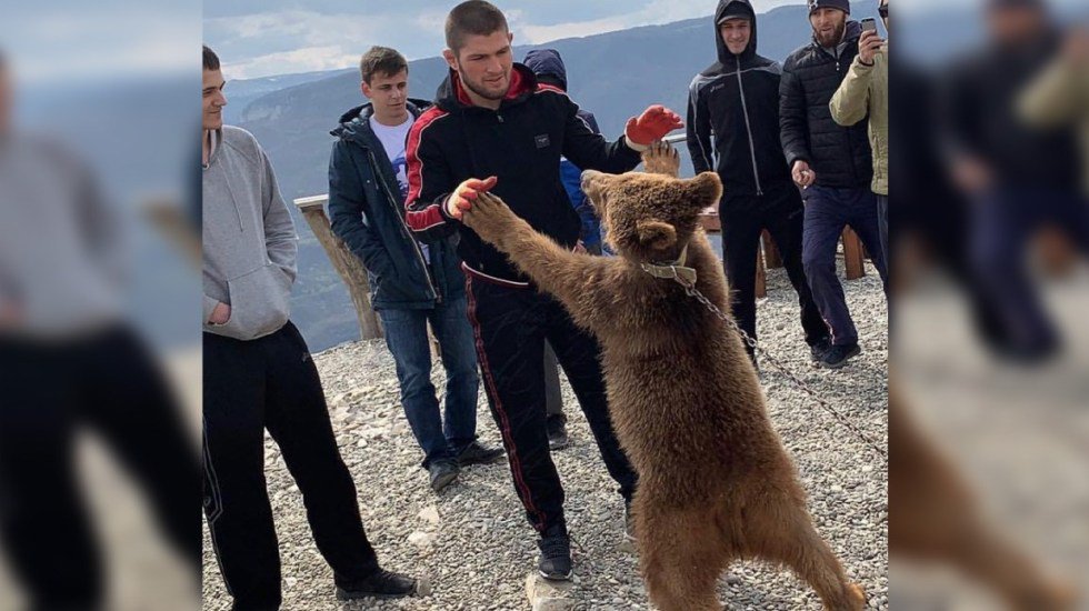 Photo of Peleador ruso es captado con sus amigos maltratando a oso encadenado