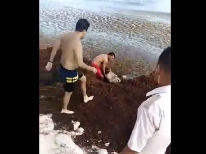 Photo of Turista casi se ahoga en sargazo de Playa del Carmen