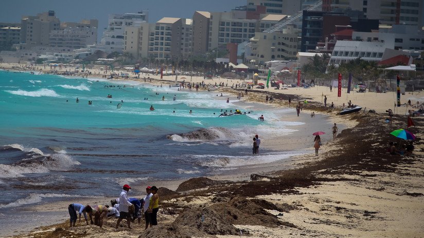 Photo of México enfrenta un «mar de sargazo» en Cancún que podría generarle pérdidas millonarias