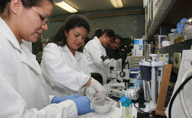 Photo of A la baja empleos de mujeres en ciencia y tecnología, alertan