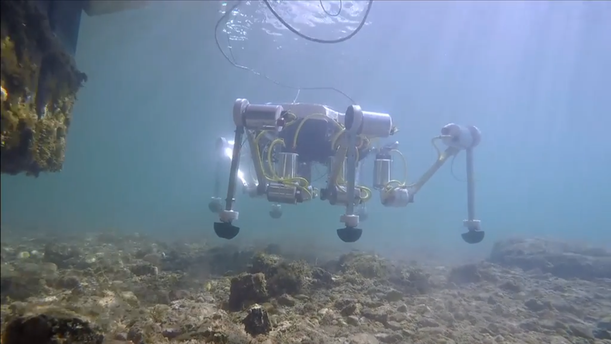 Photo of Conoce el cangrejo robot y otras tecnologías para salvar las playas y los mares