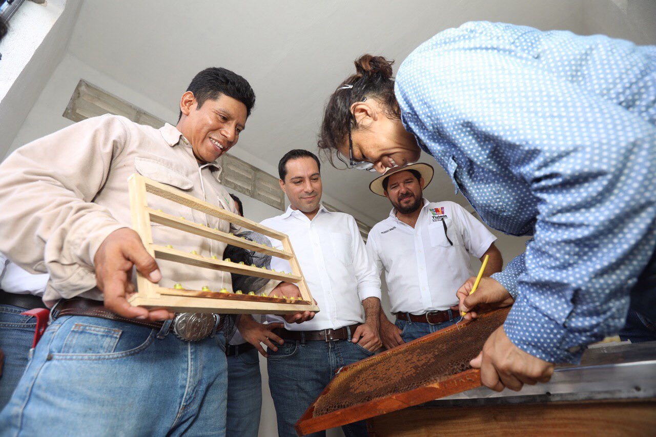 Photo of Gobernador de Yucatán visita a las abejas reinas de Tizimín