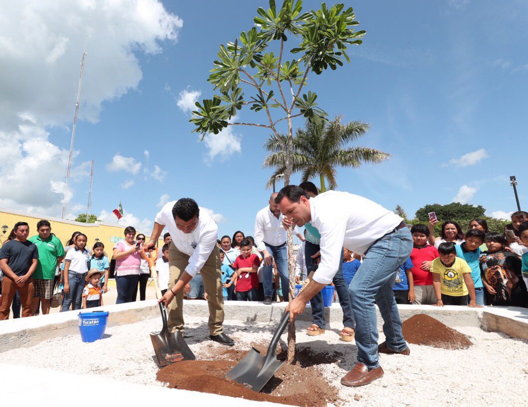 Photo of El Gobernador Mauricio Vila Dosal pone en marcha la siembra de 600,000 árboles en el interior del estado