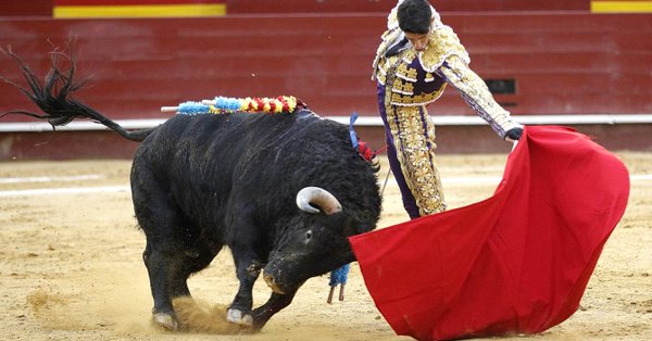 Photo of Congreso de QR aprueba Ley de Bienestar Animal que prohíbe las corridas de toros y peleas de gallo en la entidad