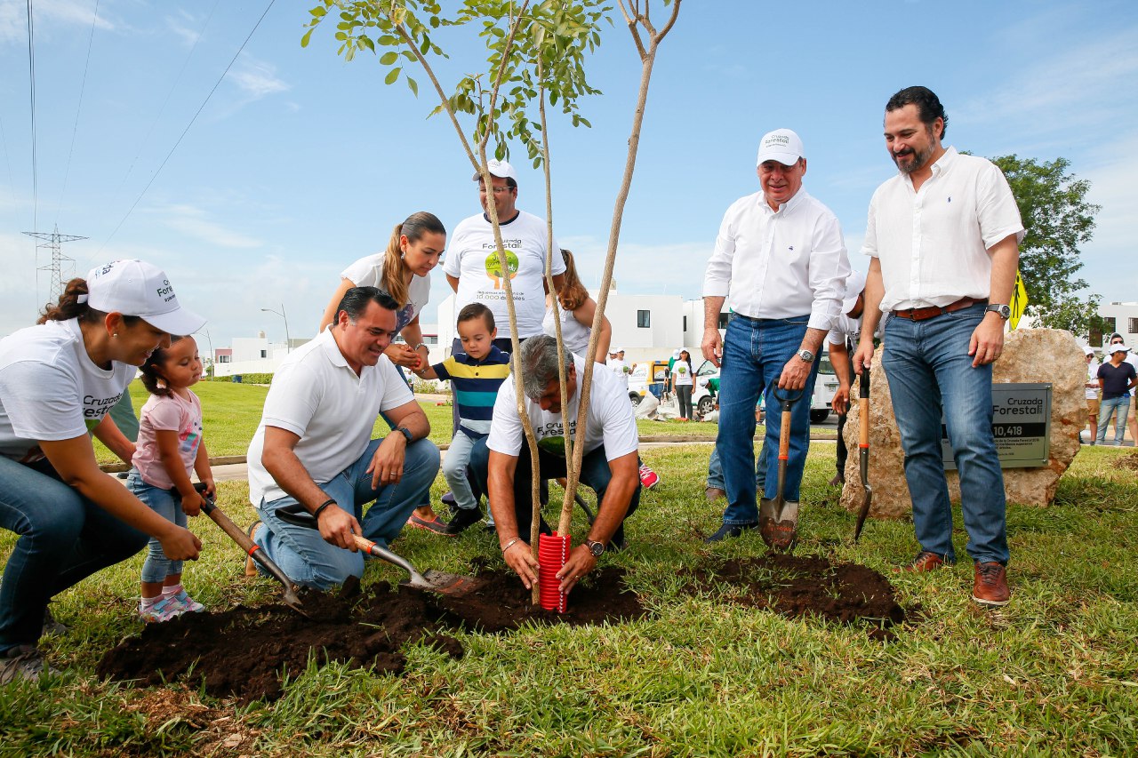 Photo of En Mérida hay una nueva cuadrilla de arboristas especializados y acreditación a ciudadanos en tópicos de arbolado