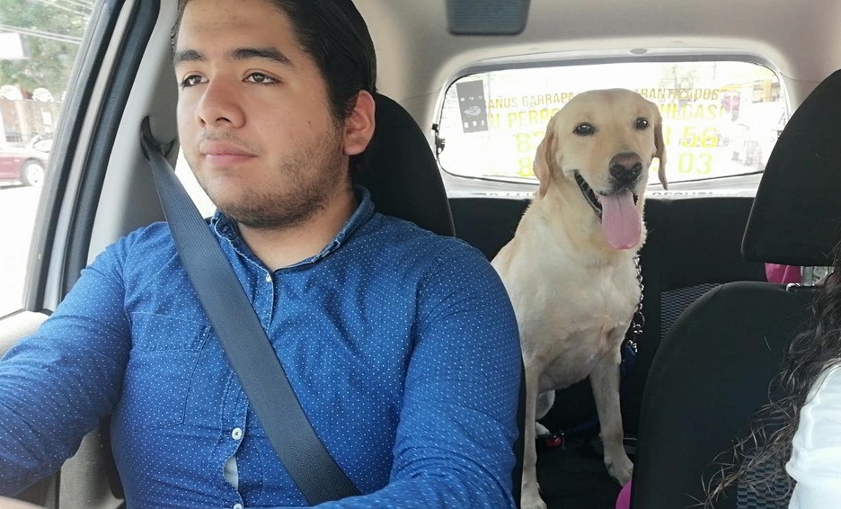 Photo of Tampico tiene su primer taxi para mascotas