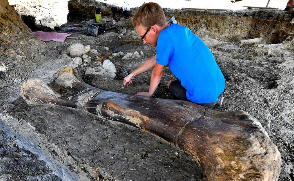 Photo of Gigantesco hueso de dinosaurio descubierto en Francia