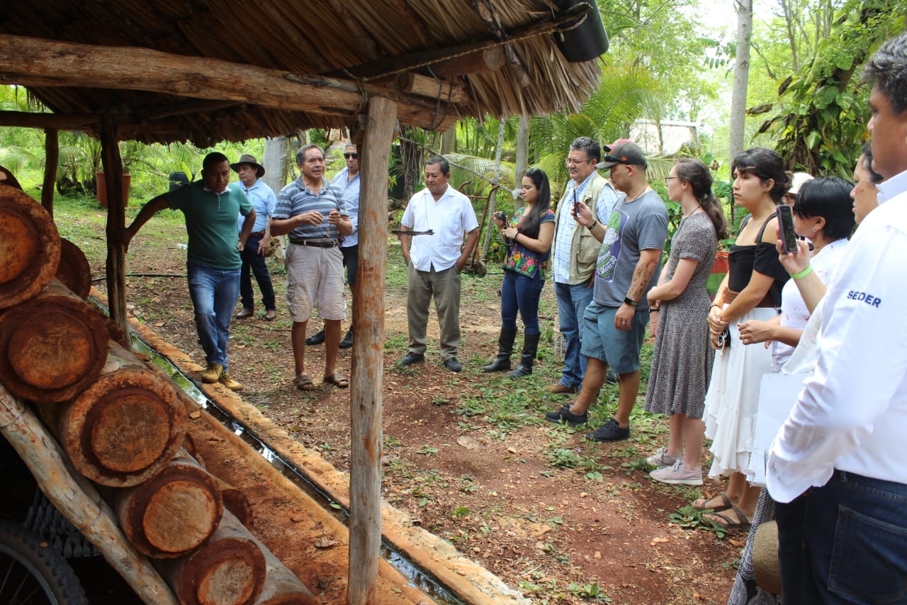 Photo of Yucatán y Nueva Zelanda intercambian conocimientos y experiencias en torno a la miel