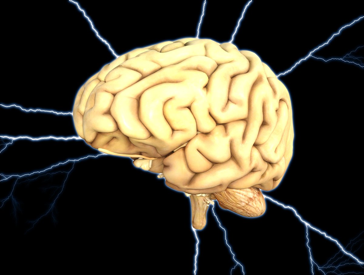 Photo of La ciencia ya sabe cómo volver a la vida el cerebro de un humano muerto