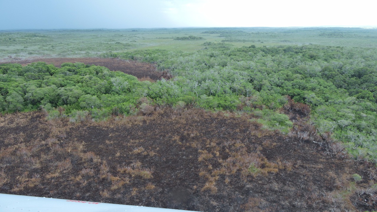 Photo of Se controla incendio forestal cerca de la Reserva de Celestún