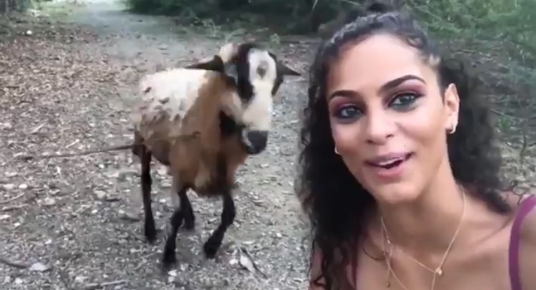 Photo of Intenta tomarse una selfi con una cabra pero el animal tenía otro plan