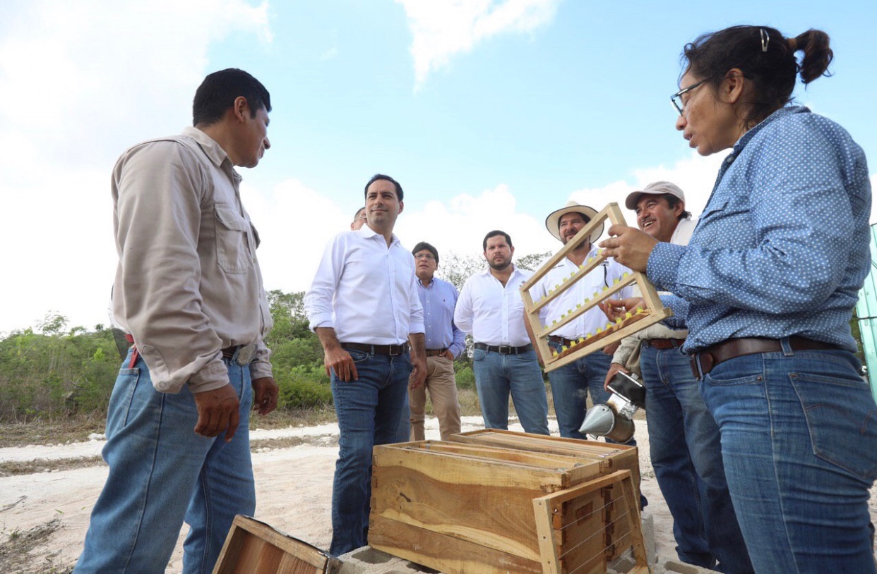 Photo of Programa de Naciones Unidas para el Desarrollo une esfuerzos con el Gobierno de Yucatán para impulsar proyectos en favor del medio ambiente