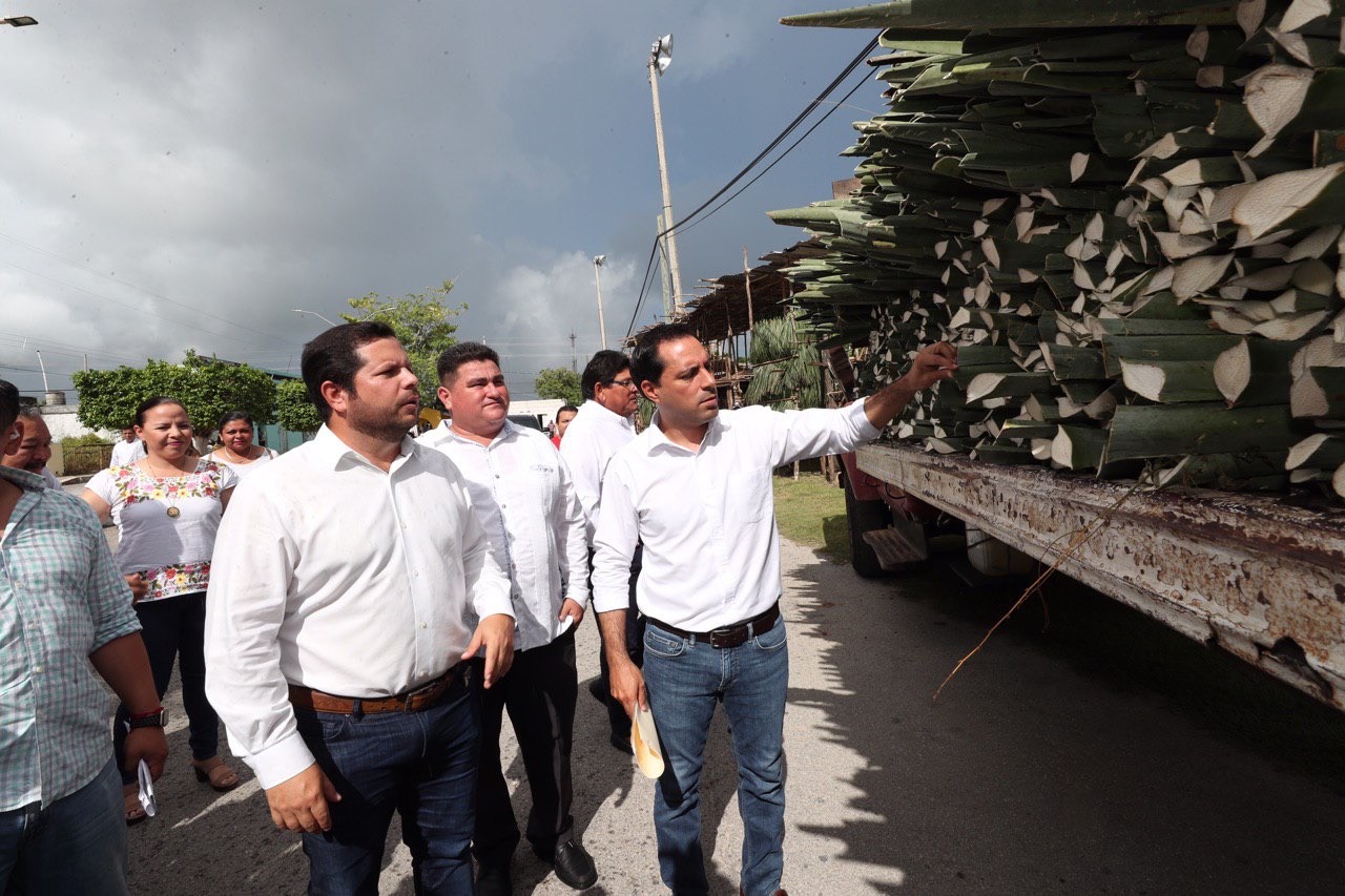 Photo of Yucatán ejercerá inversión histórica para impulsar el cultivo del henequén