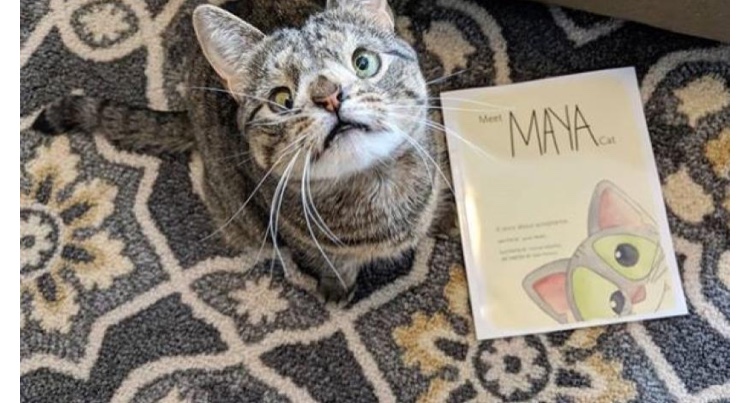 Photo of Maya, la gatita con síndrome de Down, ya tiene su propio libro