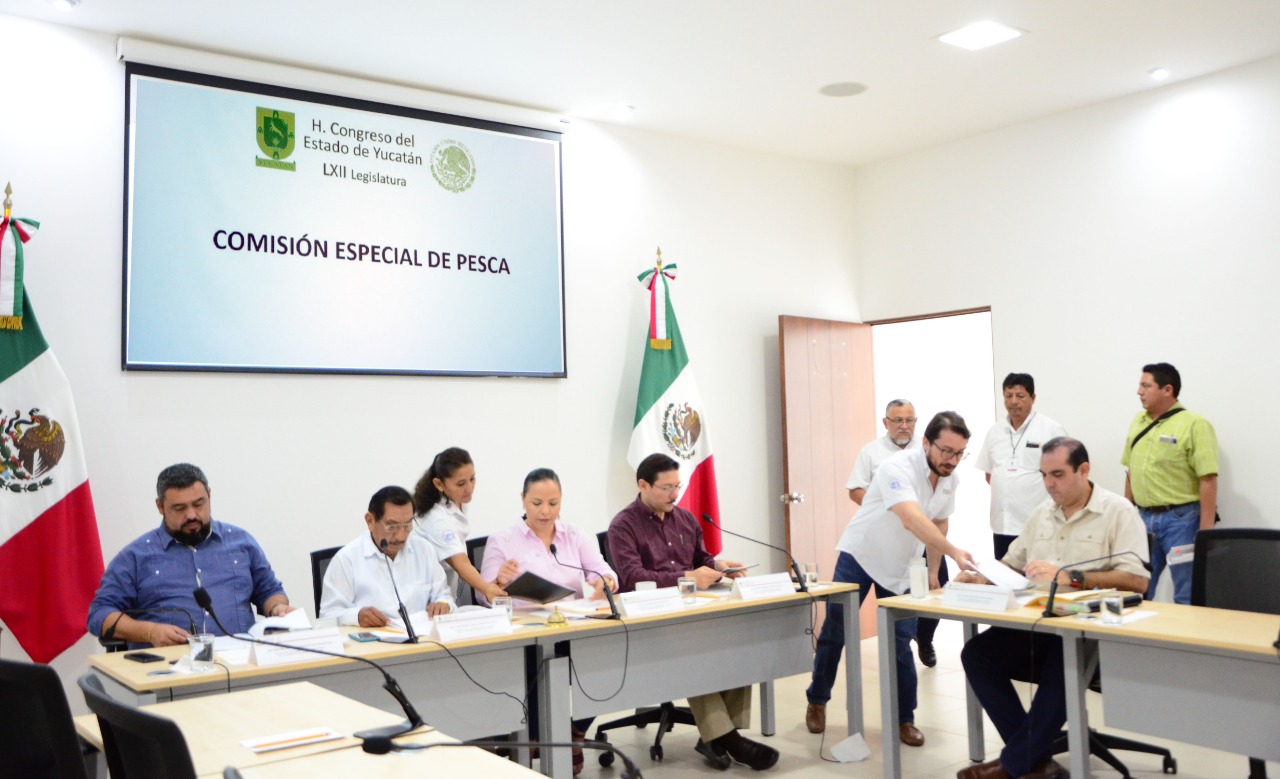Photo of Presentan Plan de Trabajo de comisión de Pesca
