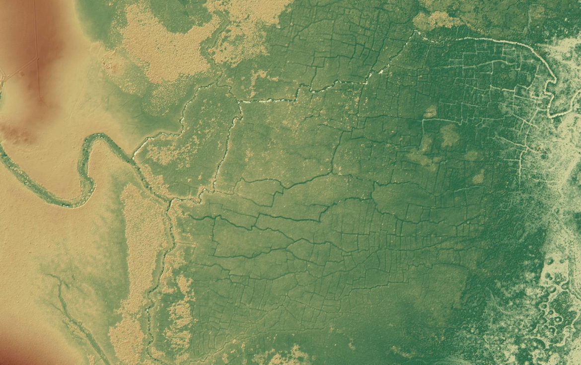 Photo of Hallan una enorme red de canales y cultivos mayas oculta bajo la selva