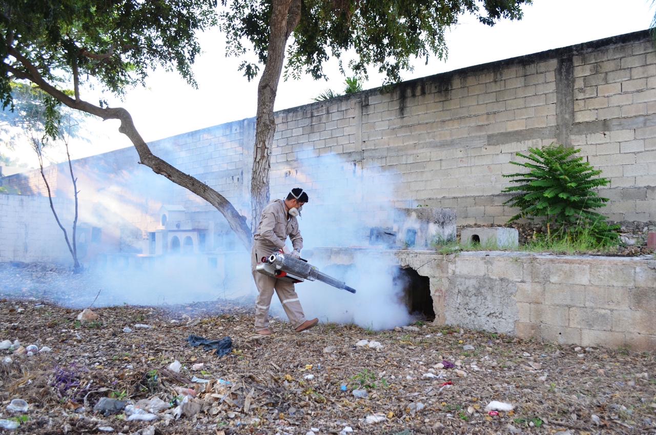 Photo of Ocupa Yucatán lugar 15 a nivel nacional en casos de dengue