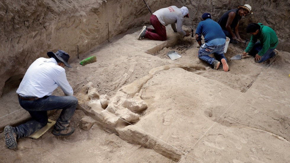 Photo of Hallan en Puebla huesos y colmillos de mastodonte