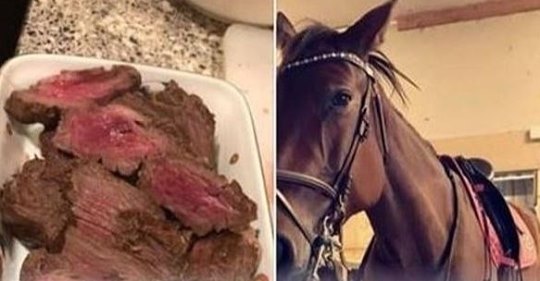 Photo of Mujer cocinó a su propio caballo y esto fue lo que pasó