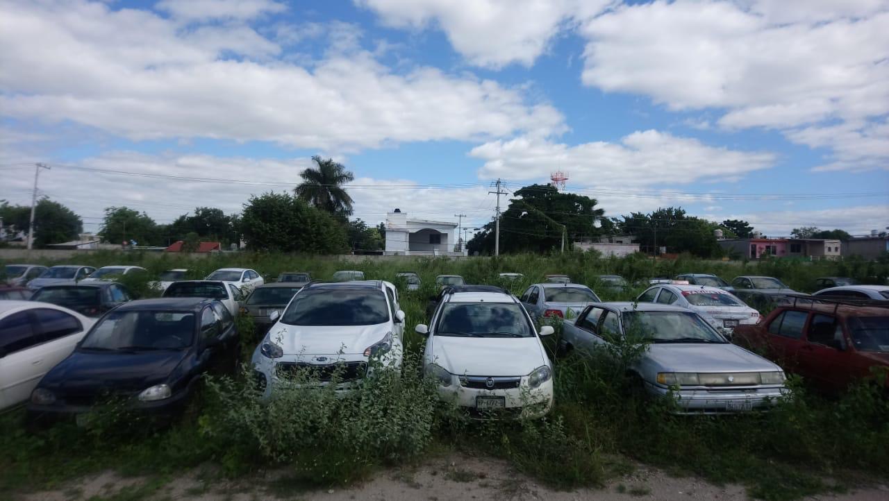 Photo of Los corralones de la SSP Yucatán saturados con vehículos abandonados: Saidén Ojeda