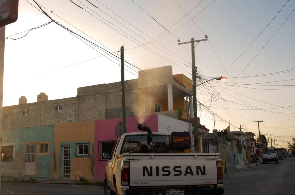 Photo of Estrategia continua, clave para controlar el dengue en Yucatán