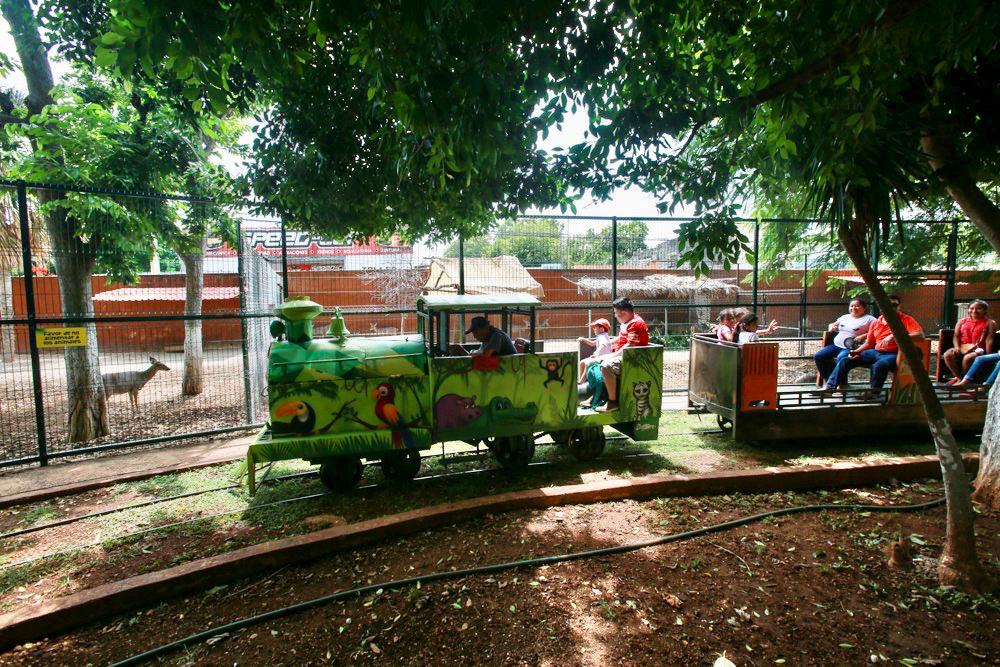 Photo of Los zoológicos Animaya y El Centenario, opciones de recreación para las vacaciones decembrinas