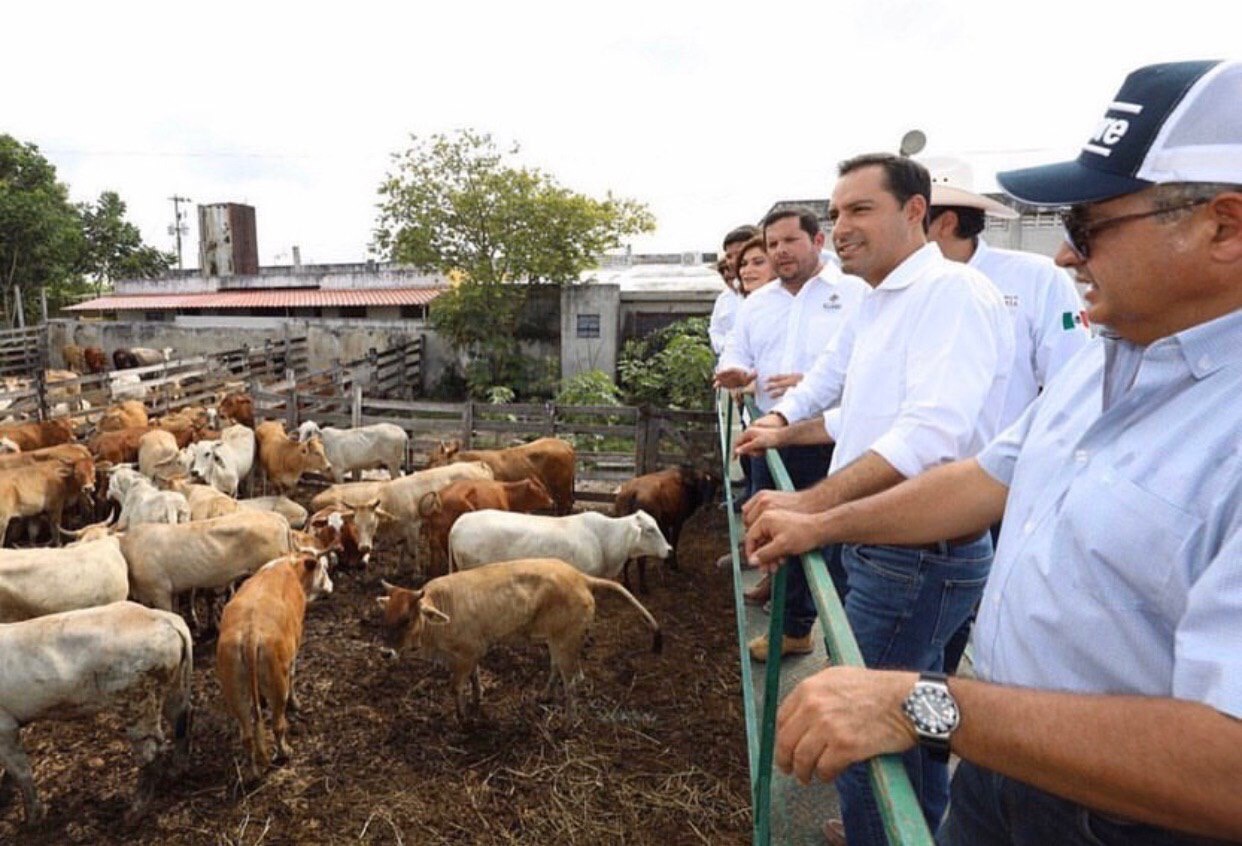 Photo of El Gobernador Mauricio Vila Dosal impulsa oportunidades para el campo yucateco