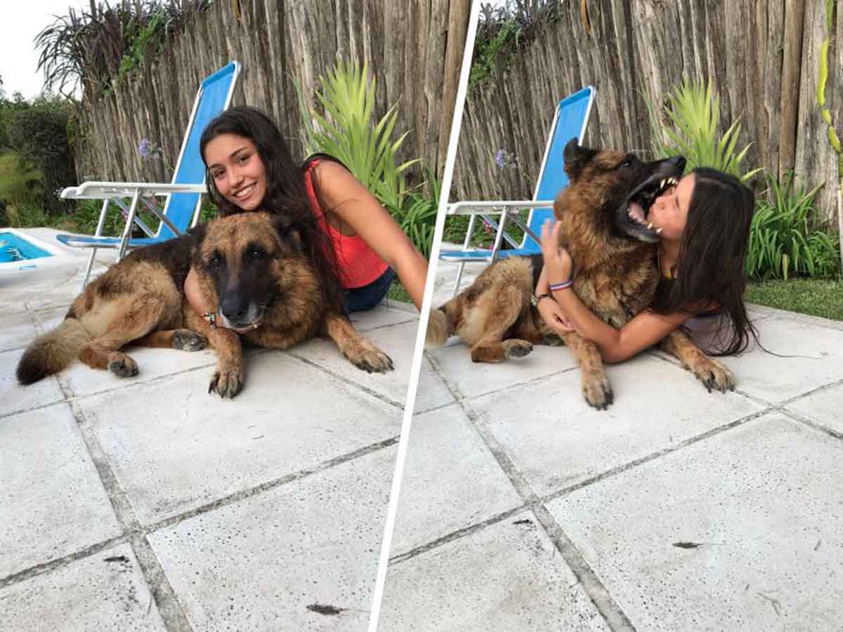 Photo of Intentó hacerse selfie con su perro, le mordió el rostro