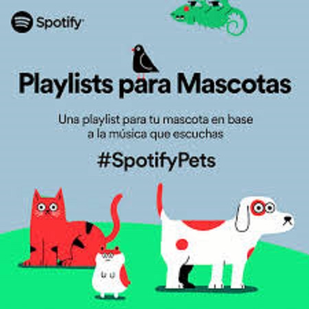 Photo of Spoty estrena su playlist para mascotas que se quedan solas en casa