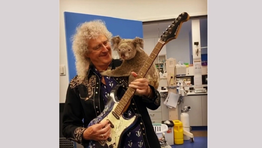 Photo of Brian May, el guitarrista de Queen, da un ‘concierto privado’ para un koala salvado de los incendios en Australia