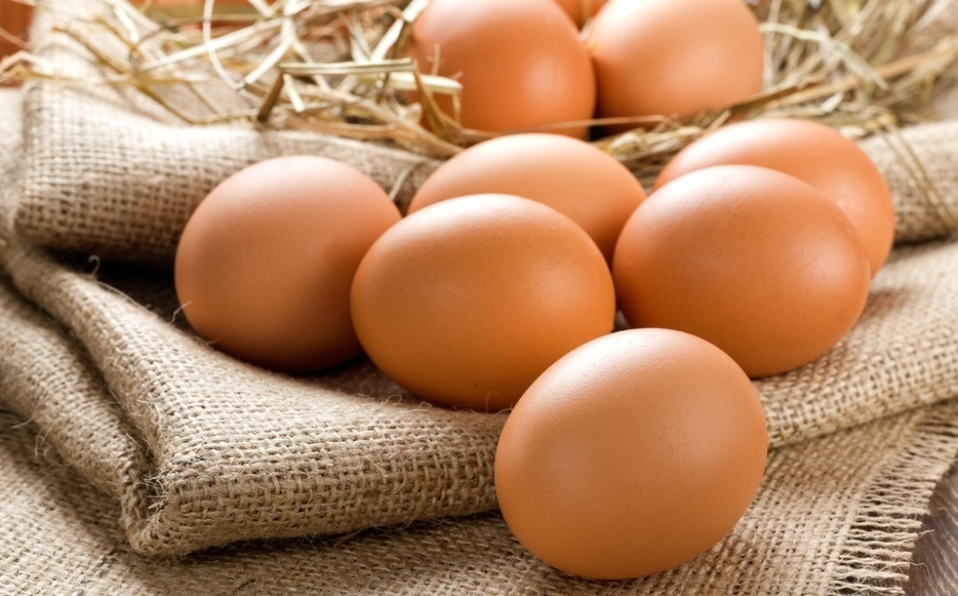 Photo of Comer un huevo diario no es malo para tu corazón: estudio