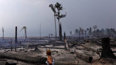 Photo of Los bosques tropicales de la Amazonia y África pierden su capacidad para absorber dióxido de carbono