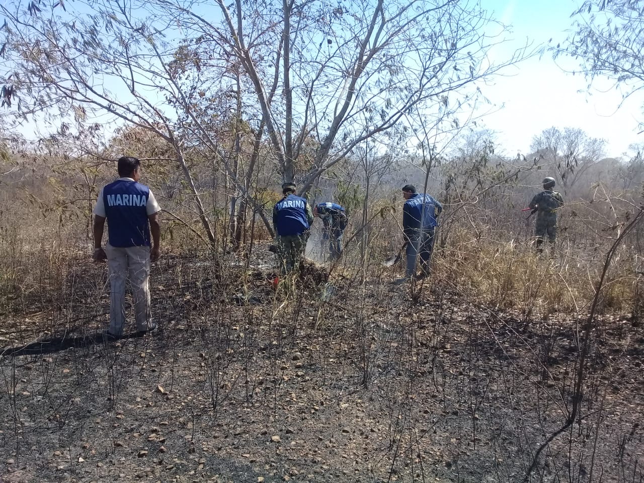 Photo of Elementos de la IX Zonal Naval sofocan incendio en Flamboyanes