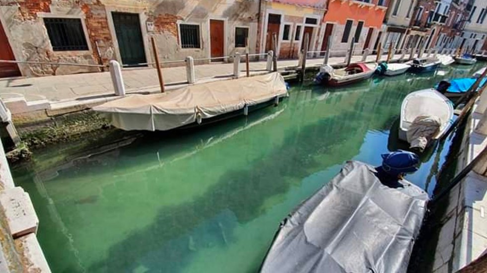 Photo of Canales de Venecia lucen cristalinos por falta de turistas por COVID-19