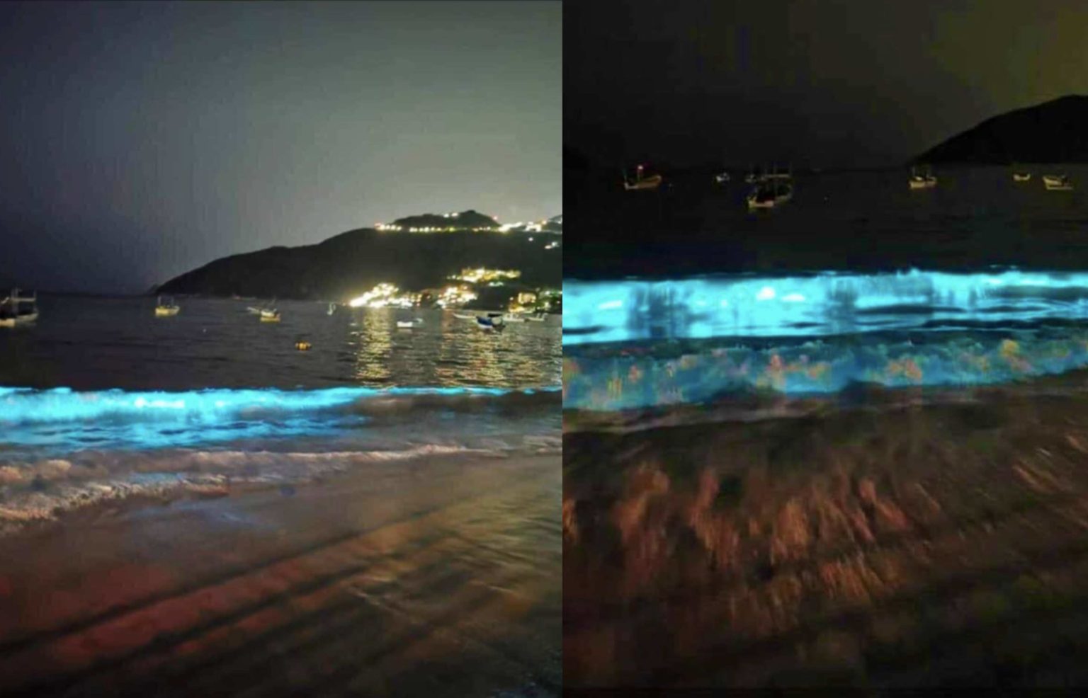 Photo of La naturaleza, haciendo de las suyas, llena de bioluminiscencia playas de Acapulco