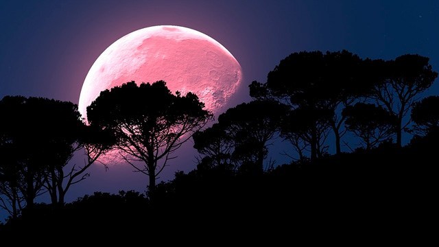 Photo of Hoy la Superluna rosa: La más grande del año