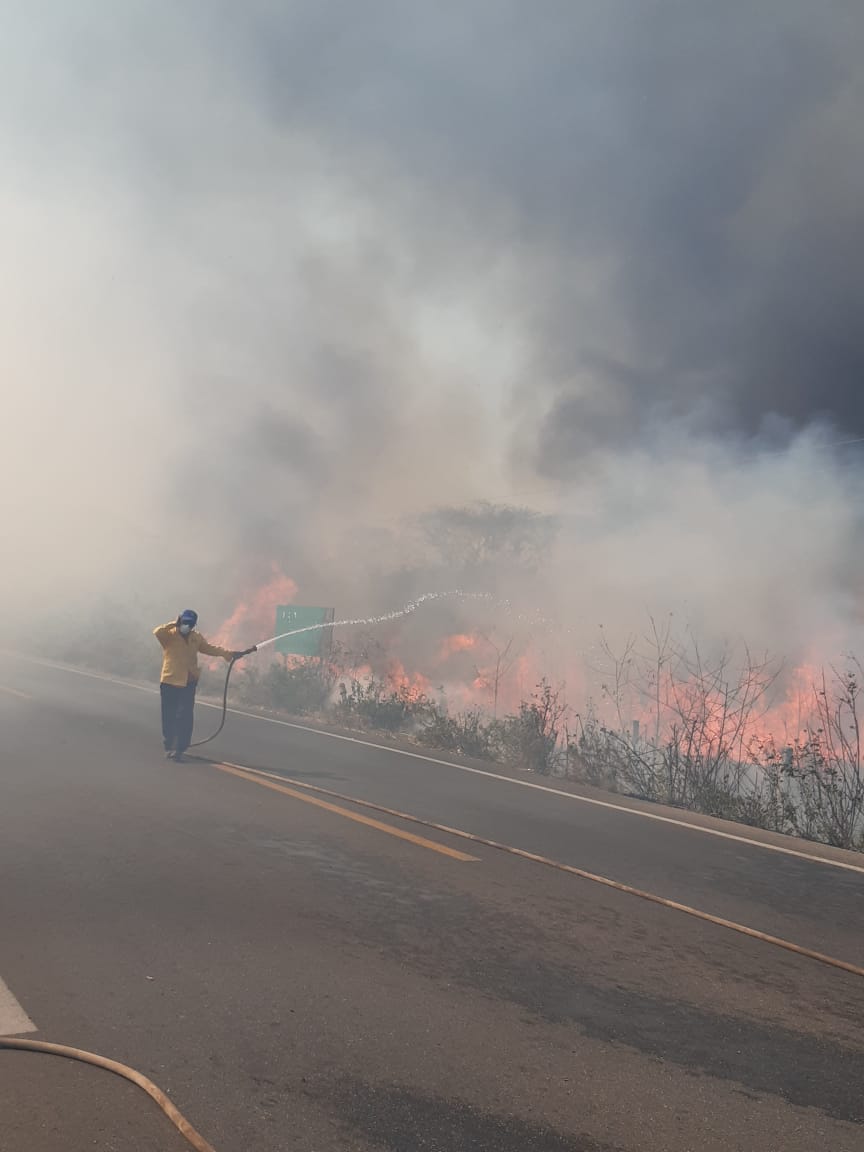 Photo of En Tekax equipos de emergencia combate para controlar y sofocar fuerte incendio