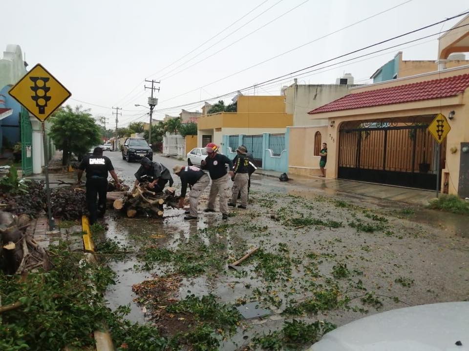 Photo of Rayos, calles inundadas, espectaculares y árboles caídos, los estragos de la lluvia en Yucatán