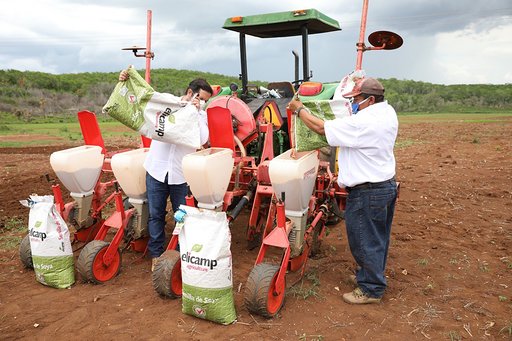 Photo of Productores del sur de Yucatán reciben 190 toneladas de semillas de soya